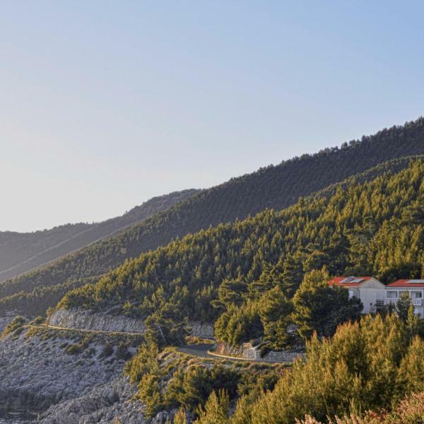 Villa Victor Babino Polje Eksteriør bilde