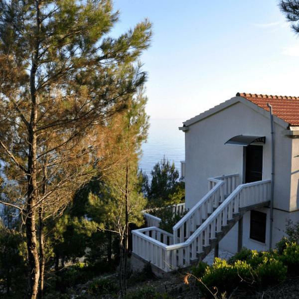 Villa Victor Babino Polje Eksteriør bilde